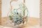 Lovely Whimsical Glass Terrarium with Artificial Succulents and Plants in Light Greens and Blue Tones product 3